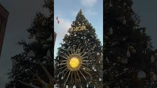 Christmas three in Toronto !! 🎁🎊🎉😜#christmas #christmastree #three #toronto #canada #dior