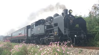 『C11325＋50系客車・快速 SLもおか[6001レ』2018/9/29(真岡鐵道・寺内駅～真岡駅｢八木岡(第二湯前踏切)｣) # 真岡鉄道