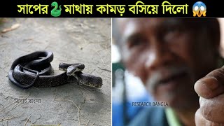 সাপ এর মাথায় কামড় বসিয়ে দেয় এই ব্যক্তি | Research Bangla #shorts