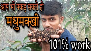 MADHUMAKHI KO KESE PAKDE AAPNE HATHO ME FULL VIDEO