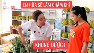 Bé Sương nghỉ bán vé số, xin làm nhân viên ở cửa hàng sầu riêng Khương Dừa nhưng bị từ chối ?