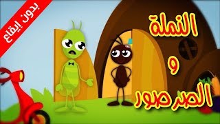 النملة والصرصور (بدون إيقاع) - طيور بيبي Toyor Baby