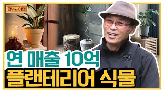 [갑부's 아템] 식물+인테리어=분위기♥ 갑부가 알려주는 '플랜테리어' 하기 좋은 식물! | 독한인생 서민갑부 326 회