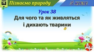 Пізнаємо природу. Урок 38. Для чого та як живляться і дихають тварини