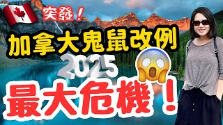 突發‼️加拿大🇨🇦向所有人say no🙅⁉️ 2025 最令人擔憂的不止你想的那些⁉️