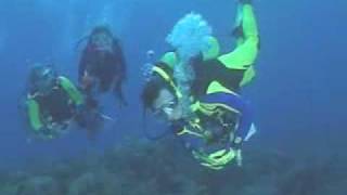 PADI Peak Performance Buoyancy Course with Sunken Treasure Scuba Center