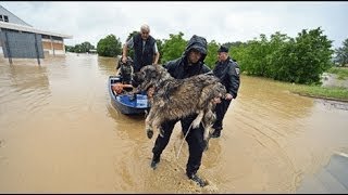 Roving Land Mines from Floods, Landslides Threaten Balkans