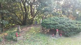 ⛩️和田御崎神社③🧚‍♂️ 裏参り🙏清々しくやさしい氣につつまれます🦊🌺✨幸せ加速🍀🌈＃地球船龍神丸