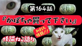 【おもしろ怪談】【猫が語る不思議な話】【猫動画】怪談ねこ語り第164話『かぼちゃ買ってください』