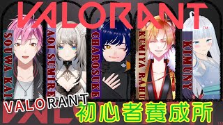 フルパでのんびり【VALORANT】