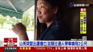 山羌突竄出遭撞亡 女騎士連人帶車噴飛2公尺