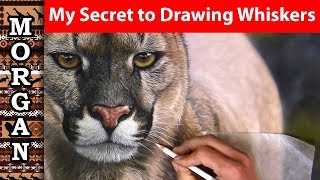 My SECRET to Drawing Whiskers with Pastel Pencils