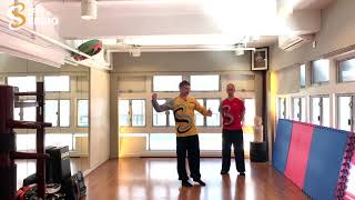 Structure or Frame in Internal Wing Chun and Taijiquan