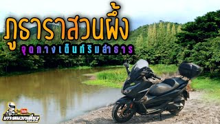 Forza 350 Vlog | ภูธารา Camping สวนผึ้ง | บรรยากาศติดลำน้ำลำภาชี