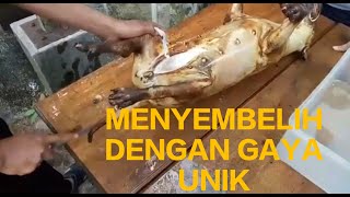 CARA BARU MOTONG ANJING TANPA MENCUCUK LEHER ATAU BADAN. CUMA PAKAI TALI DAN GONI PERHATIKAN INI!