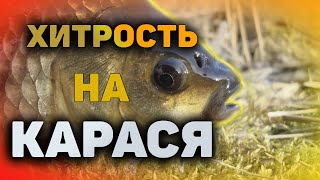 Рыбалка на ПОПЛАВОК, на утренней зорьке! Секретная насадка...