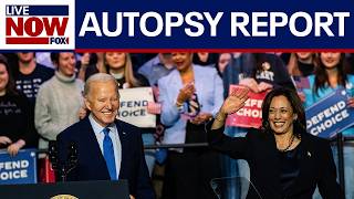 Democrats release long-awaited report about what went wrong in 2024 election, met with criticism