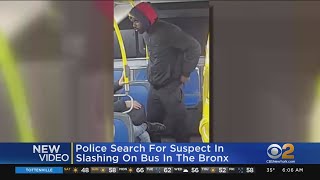 Police Search For Suspect In Slashing On Bus In The Bronx