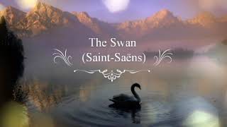 The Swan Saint Saëns　　サン=サーンス：組曲《動物の謝肉祭》より 第13曲 「白鳥」