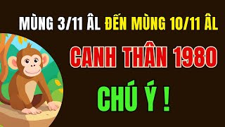 Tử Vi tuổi Canh Thân 1980. từ Mùng 3 tháng 11 âm lịch đến Mùng 10 tháng 11 âm. Cần đặc biệt chú ý