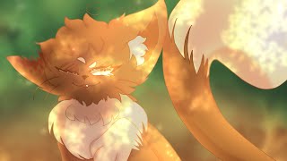 Mudfern: the obligatory warrior cats oc