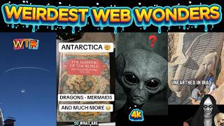 weirdest web wonders vol 217