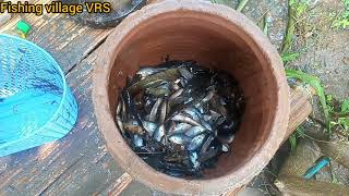 Catch fish in the pool(ចាប់ត្រីក្នុងថ្លុក)