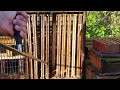 ☯️ how to clean bee hives _cleaning boxes and frames beekeeping chores