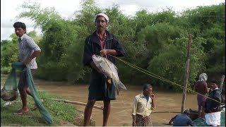 Kerala monsoon fishing | Big Fish Hunt in Rainy Season | Malappuram