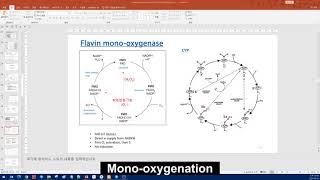 분자독성학 - Biotransformation (2). 1상 반응