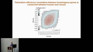 Translational efficiency covariation across cell types is a... - Can Cenik - iRNA - ISMB 2024