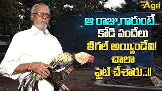 Sankranthi Kodi Pandalu | ఆ రాజు గారుంటే కోడి పందేలు లీగల్ అయ్యిండేవి..! చాలా ఫైట్ చేశారు Tone Agri