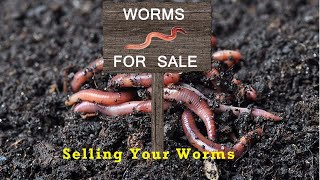 Worm Farming for Extra Income - Selling Your Worms and Products