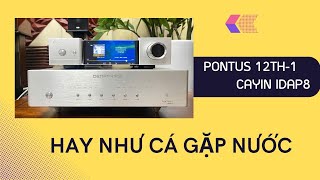 Pontus 12th-1 + Cayin Idap8 : Combo Hay Như Cá Gặp Nước