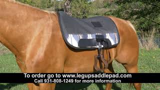 Leg Up Saddle Pads