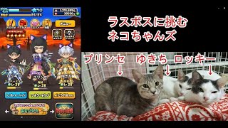 【無課金】星ドラシーズン１のラスボスに挑む。エンディングも見せます。ネタバレ注意