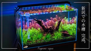 水草レイアウト水槽完成！60cm水槽