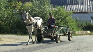 Romania - more Village Life in Transylvania