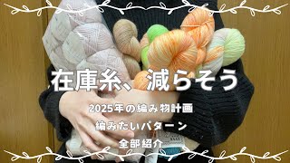 編み物ラジオ/2025年編み物計画/在庫糸やパターン全部紹介