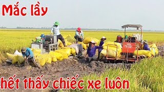 Xe cộ lúa máy cộ lúa kéo lúa bánh xích mắc lầy nặng cả 2 chiếc cảnh mắc lầy KHỦNG nhất mùa