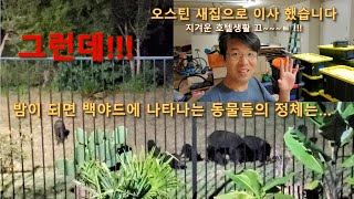 오스틴집 입주, 밤마다 나타나는 야생동물의 정체는?