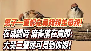 男子一直都在尋找親生母親！在成親時，麻雀落在肩頭：大哭三聲就可見到你娘！ ｜道聽途說