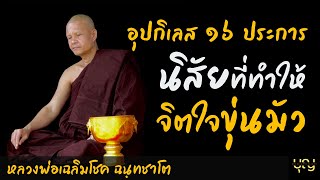 อุปกิเลส 16 ประการ นิสัยที่ทำให้...จิตใจขุ่นมัว โดย หลวงพ่อเฉลิมโชค ฉันทชาโต