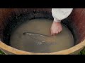 How To Build a HUMONGOUS Earthen Oven - Townsends Homestead