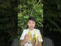 choose banana challenge 🤣 which of these bananas is the largest