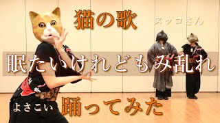 猫の歌『眠たいけれどもみ乱れ/カリンバンド』でよさこい踊ってみた《ヌッコさん》