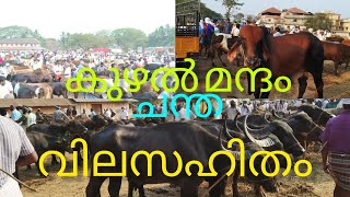 കുഴൽമന്ദം ചന്ത പാലക്കാട് cattle market Palakkad#anwarkerala