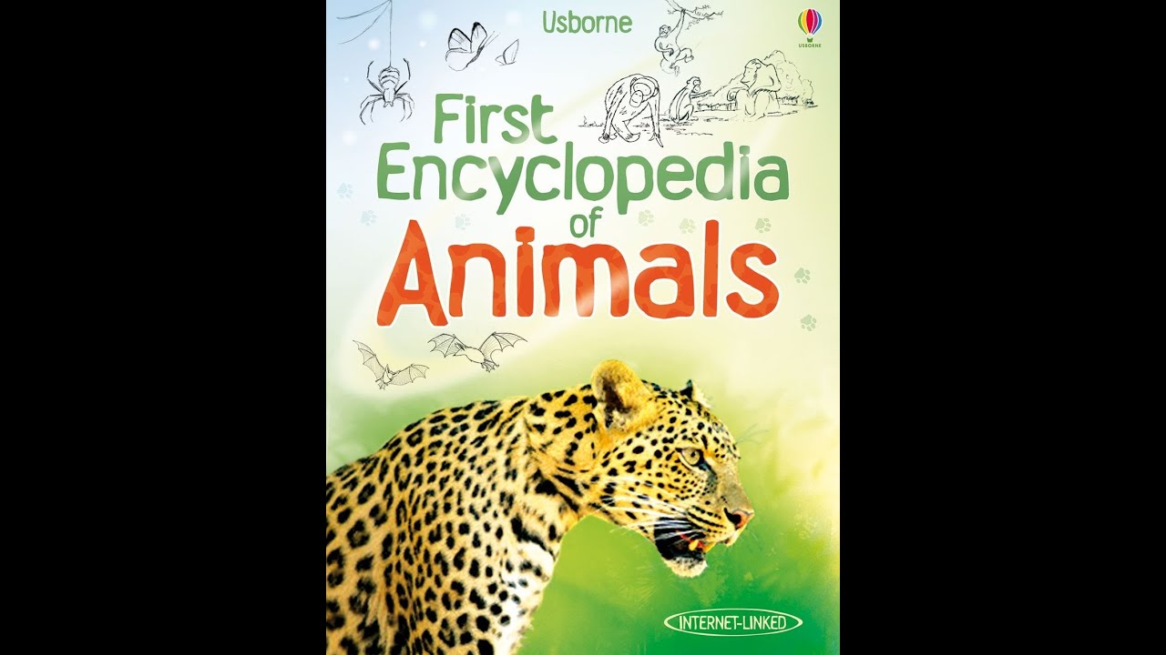 First Encyclopedia Of Animals USBORNE - YouTube