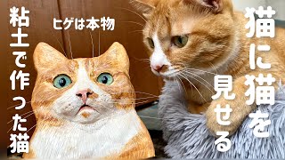 猫に粘土で作った猫を見せる！ウラの反応がかわいい【本日の猫400】