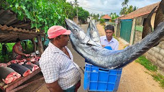 Amazing!! Sri lankan Biggest Fish Market And Hardworking Old Fisherman Day in life